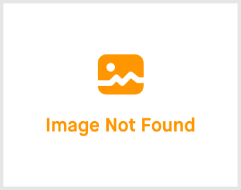 Display/hide file information