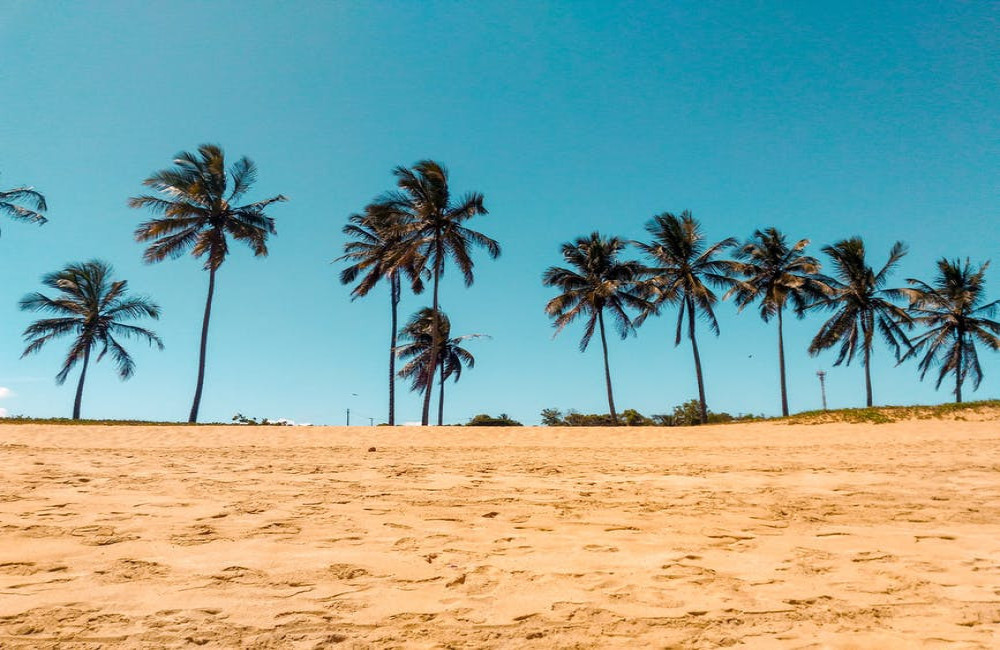 Last minute vakantie boeken in februari? Dit zijn de leukste reizen die je kunt boeken!