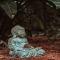 Wat betekent karma precies? Uitleg en herkomst van het begrip