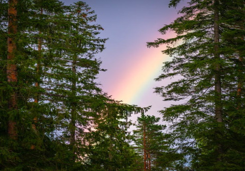 Waarom zijn er ontelbare kleuren in de regenboog?