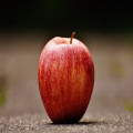Wat betekent het gezegde ‘de appel valt niet ver van de boom’? uitgelegd