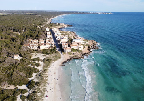 Hoeveel goedkoper is een week Mallorca in september 2026 dan in augustus