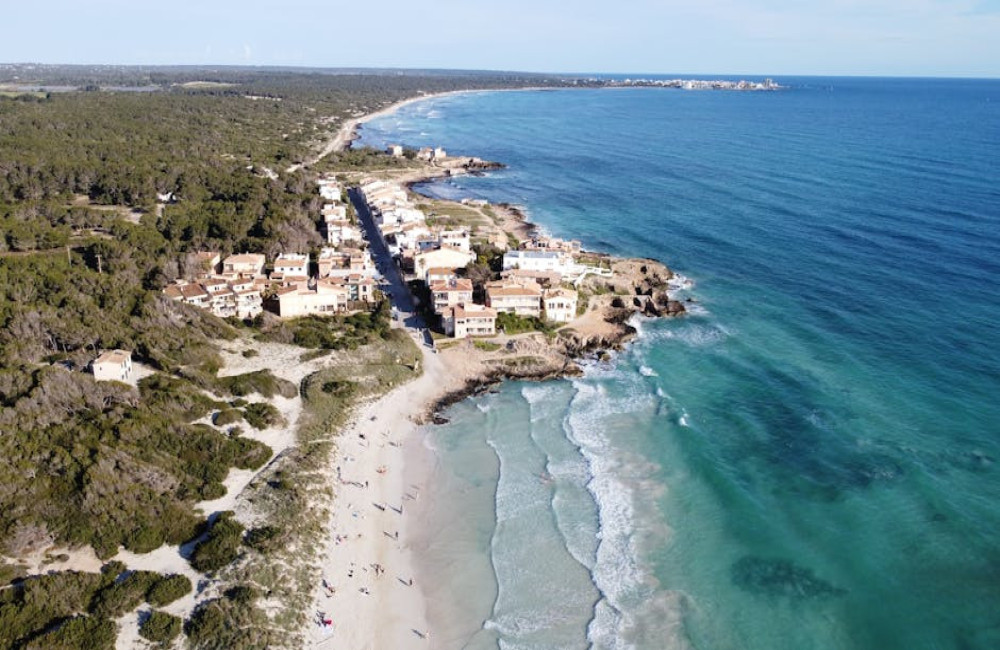 Hoeveel goedkoper is een week Mallorca in september 2026 dan in augustus