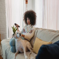 TV: Wie bereik je met adverteren op RTL 4?